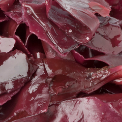 dulse seaweed
