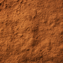 cinnamon powder