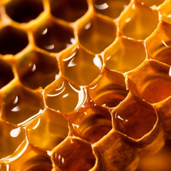 honey