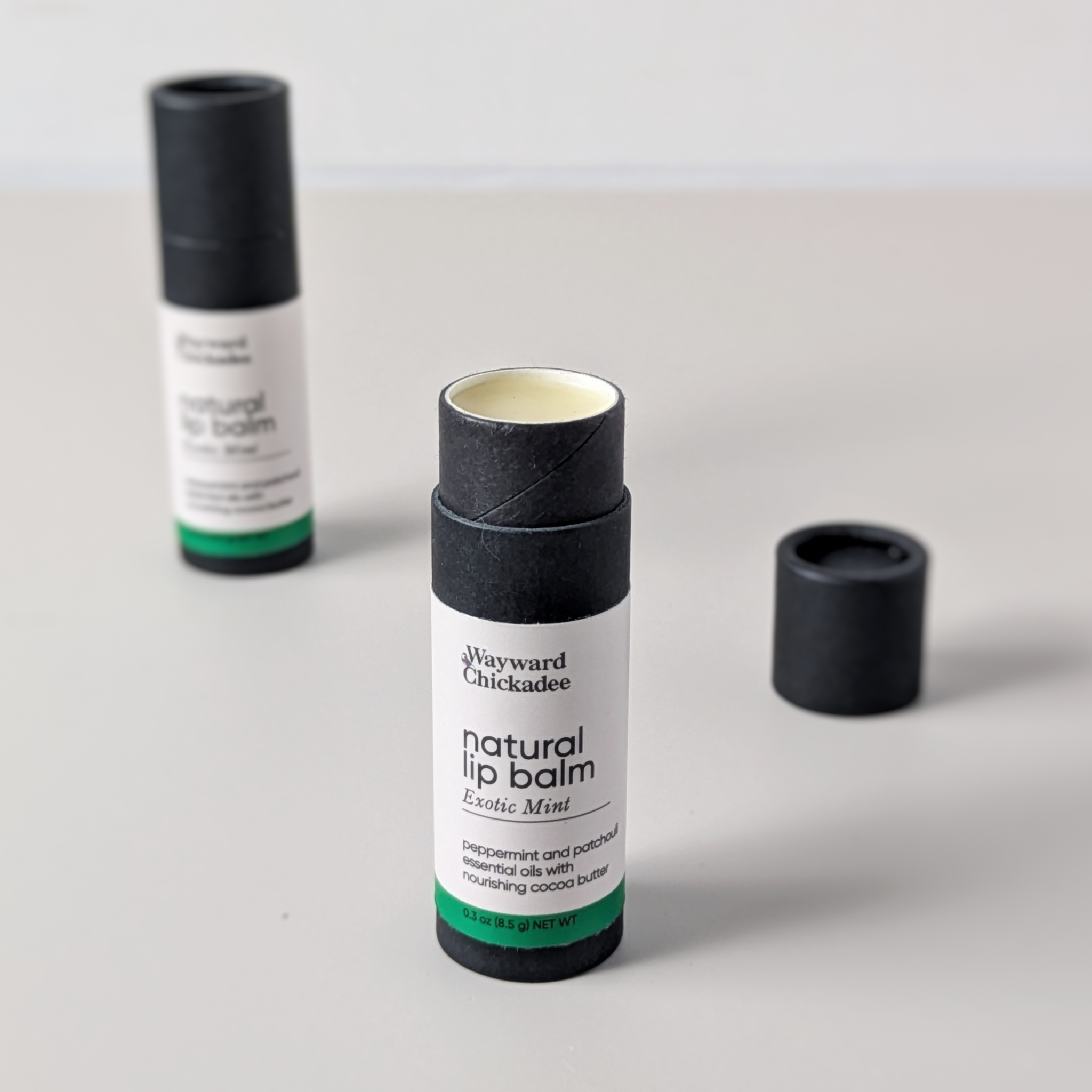 Exotic Mint Lip Balm