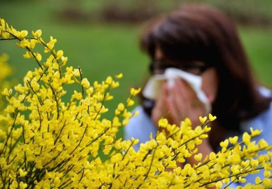 3 Home Remedies for Seasonal Allergies
