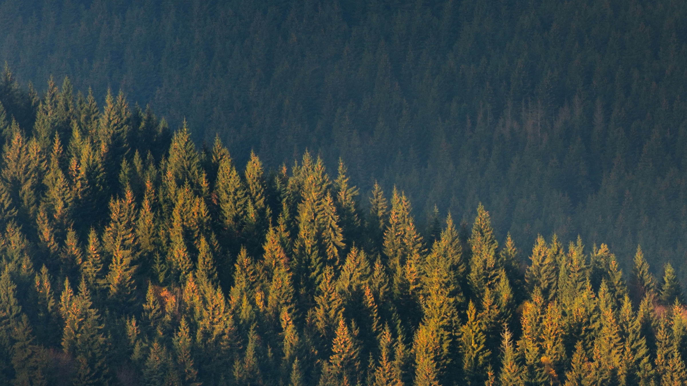 A Simple Skin & Hair Care Guide for the Cold Season