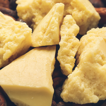 cocoa seed butter
