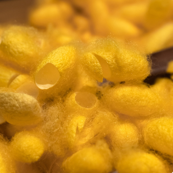 hydrolyzed silk protein