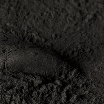activated charcoal