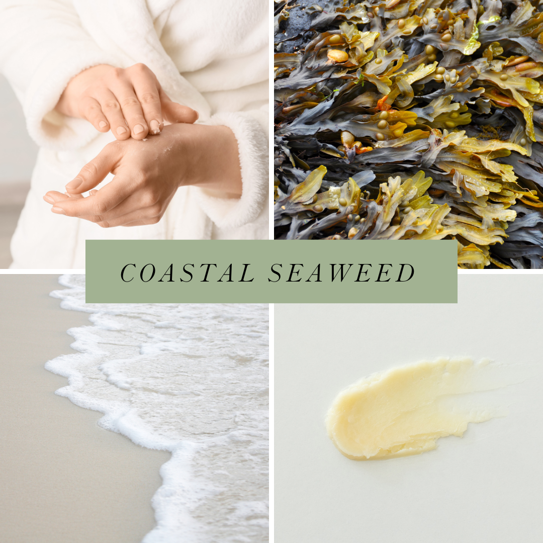 Coastal Seaweed Hand and Body Balm