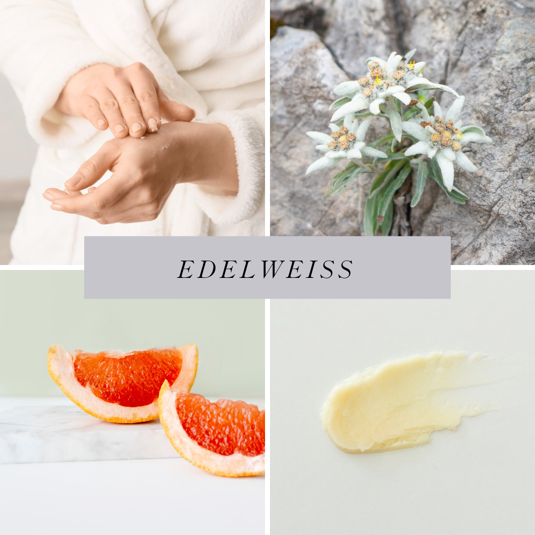 Edelweiss Hand & Body Balm