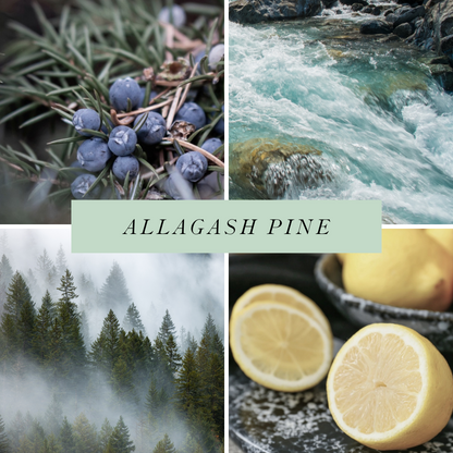 Allagash Pine scented candle