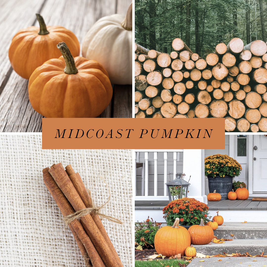 Midcoast Pumpkin scented candle