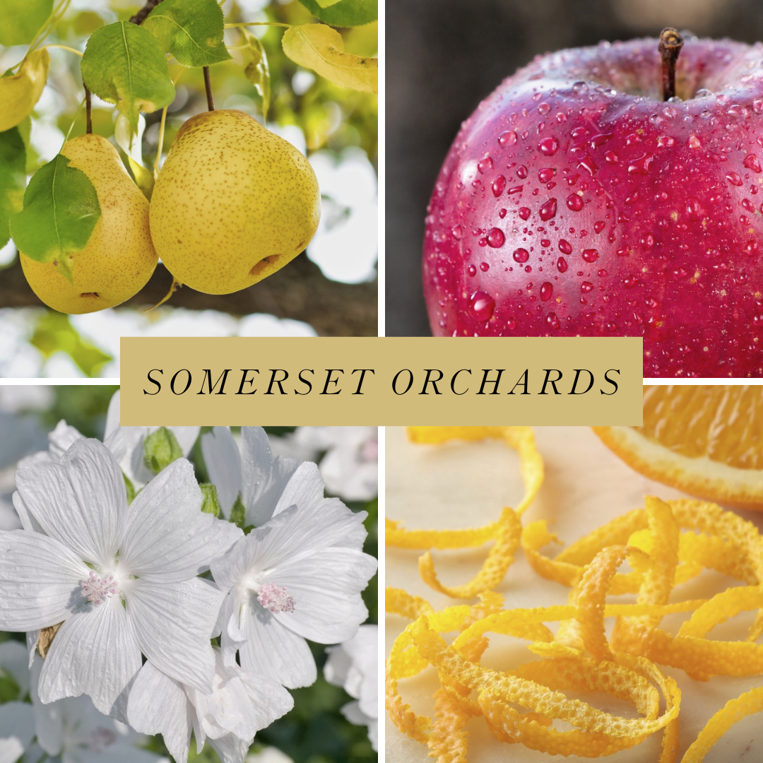Somerset Orchards scented candle