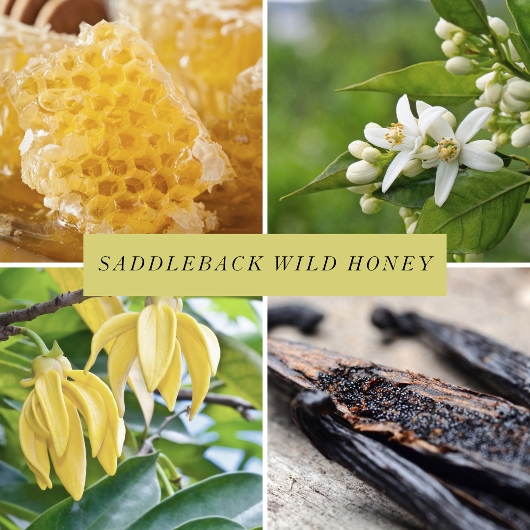 Saddleback Wild Honey scented candle