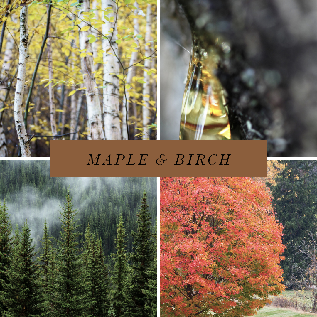 Maine Maple & Birch Soap