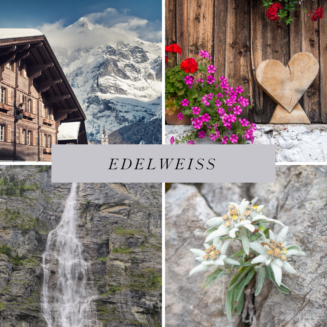 Edelweiss Soap