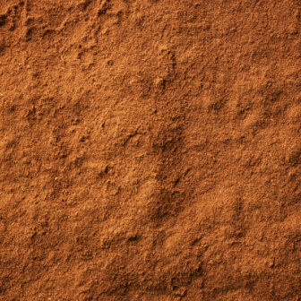 cinnamon powder