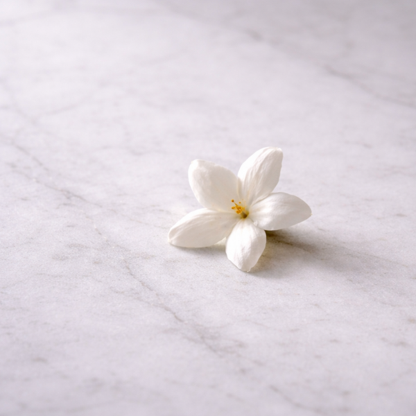 jasmine