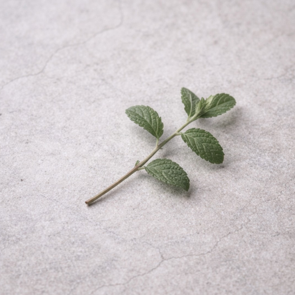 peppermint 