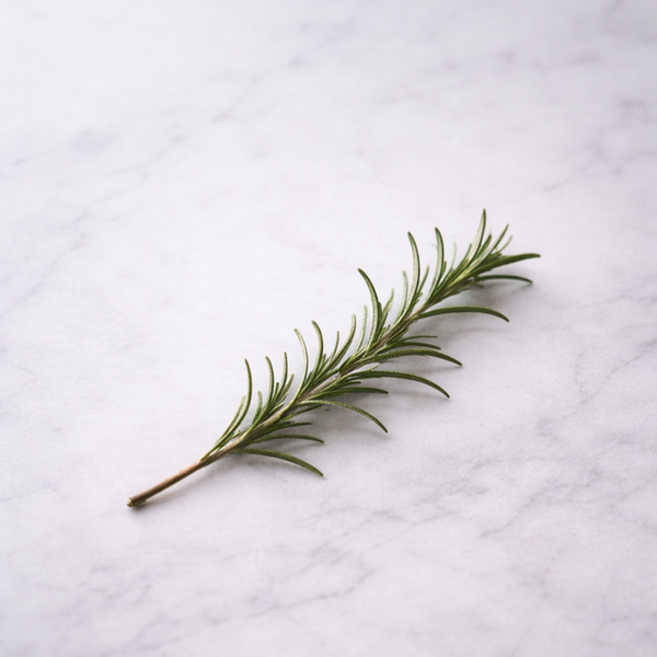 rosemary