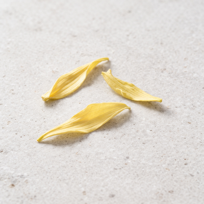 ylang ylang