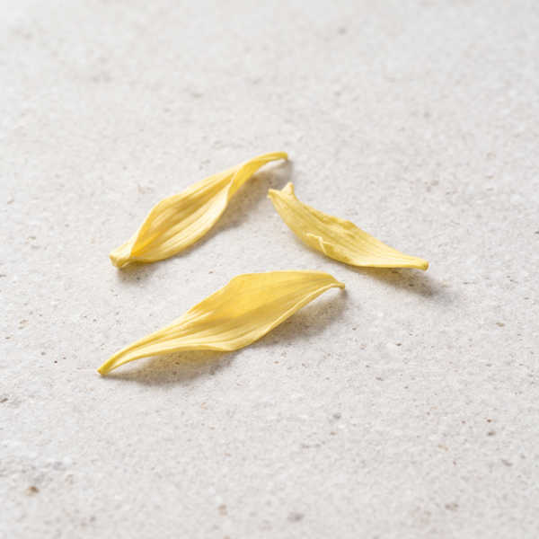ylang ylang