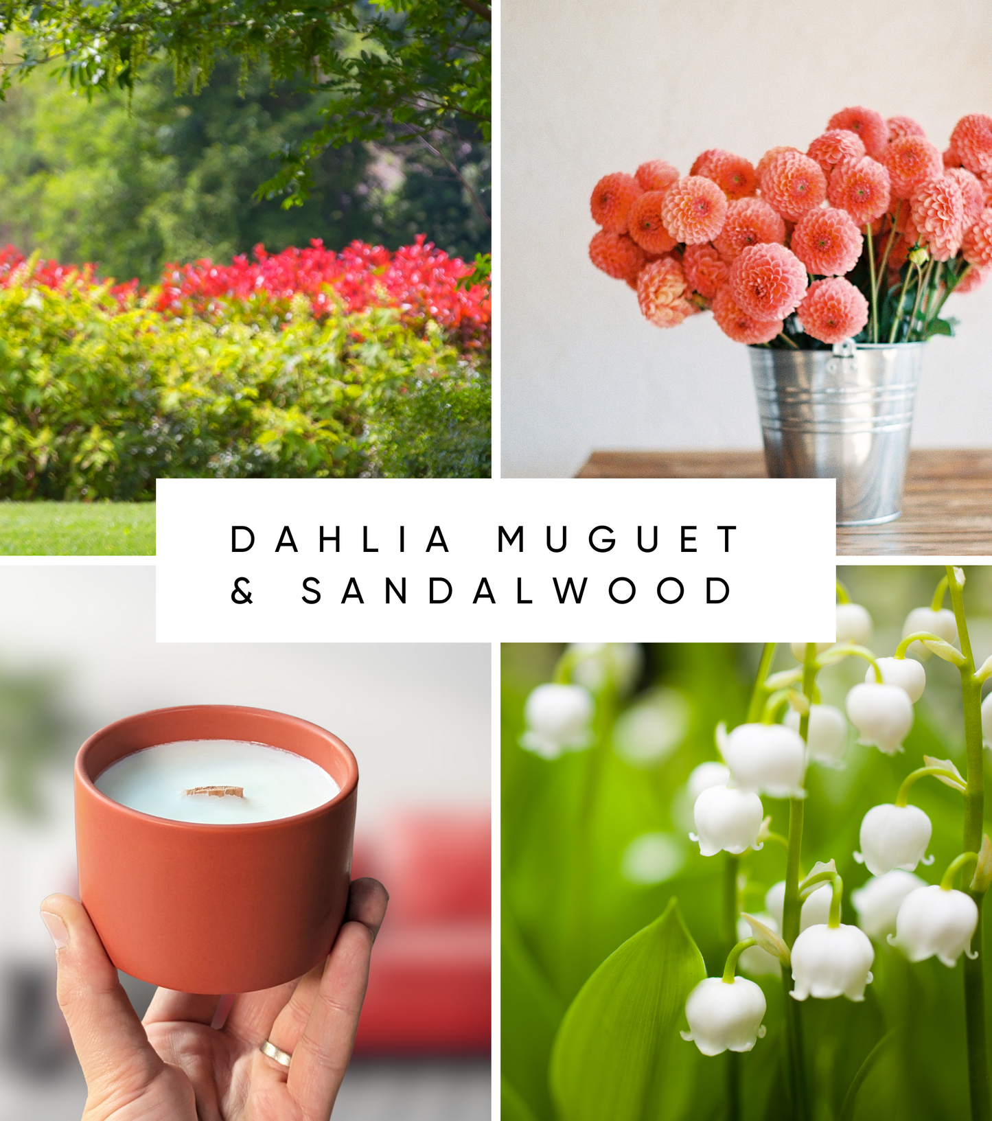 Dahlia Muguet & Sandalwood 5oz | Wooden Wick Soy Candle