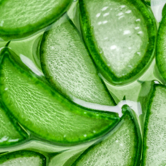 aloe vera