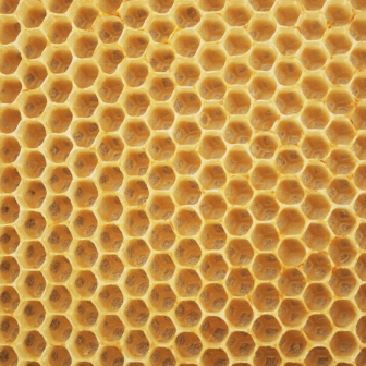 beeswax