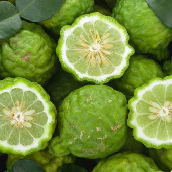 bergamot