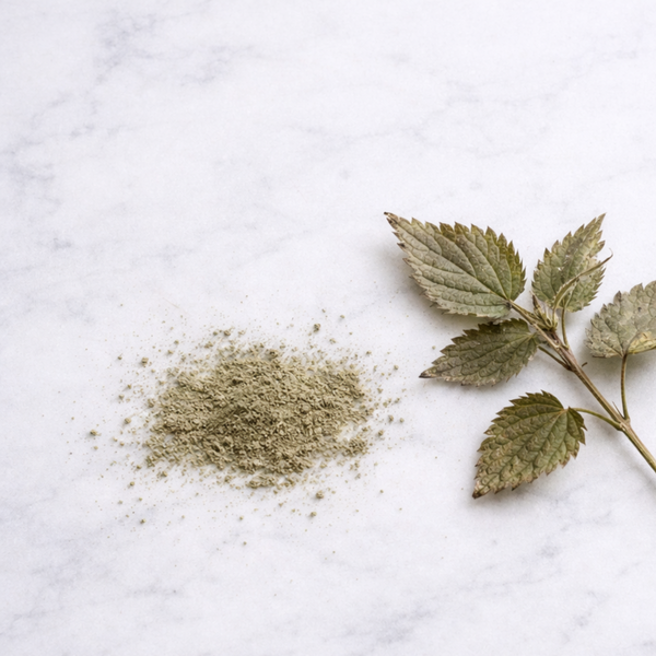 nettle powder