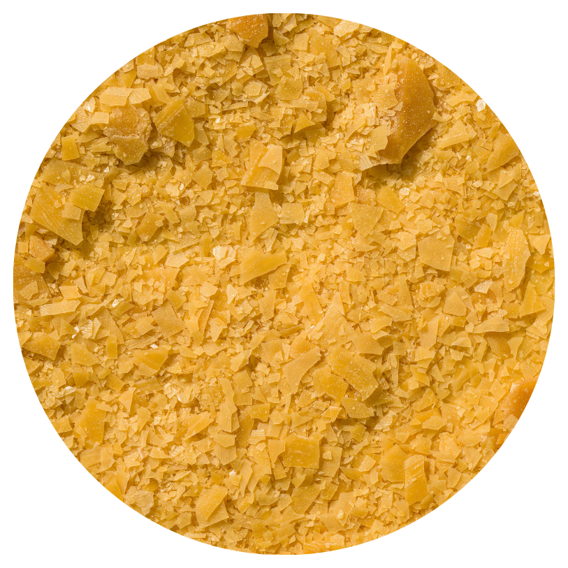 carnauba wax