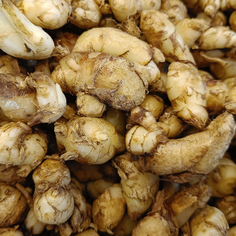 ginger root