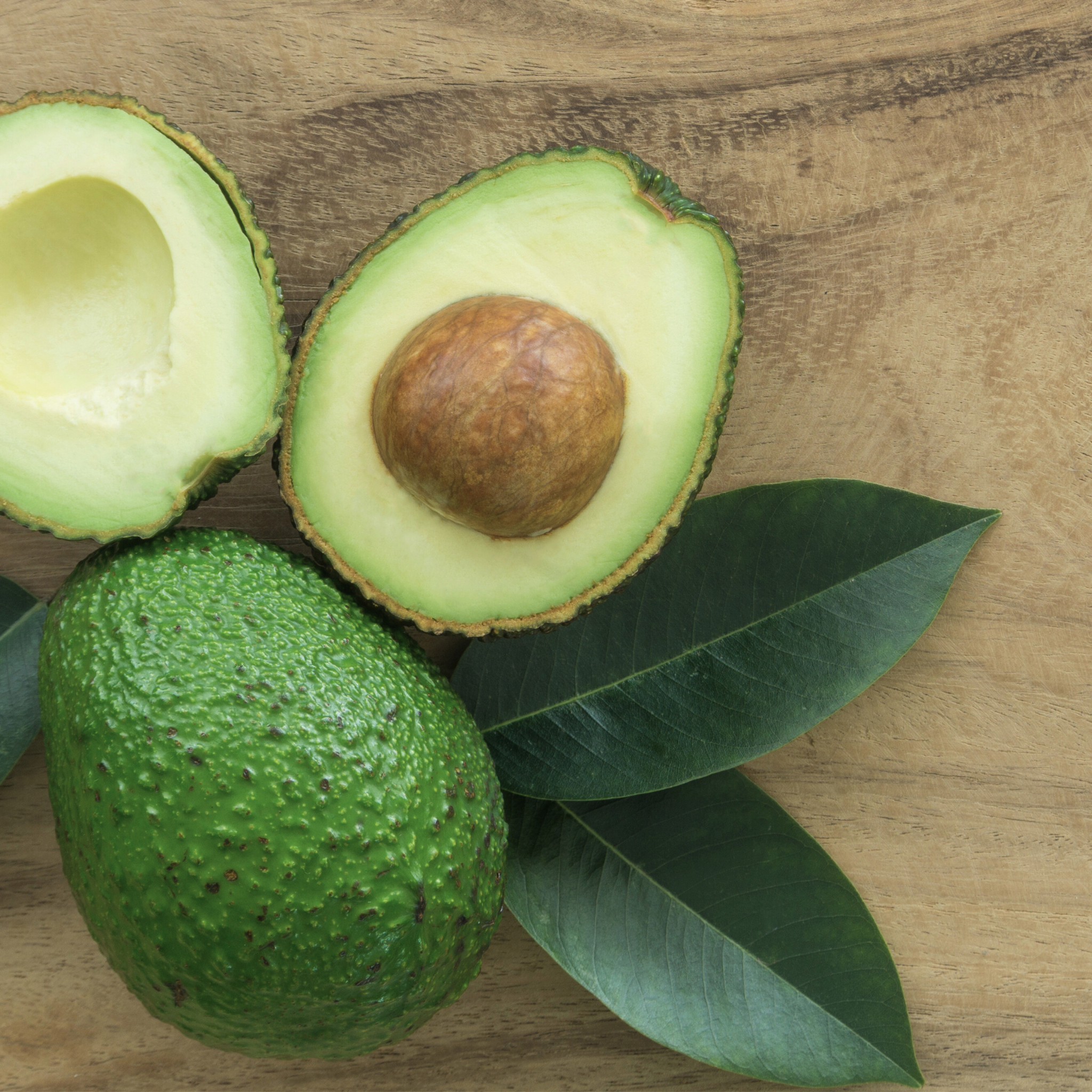avocado oil