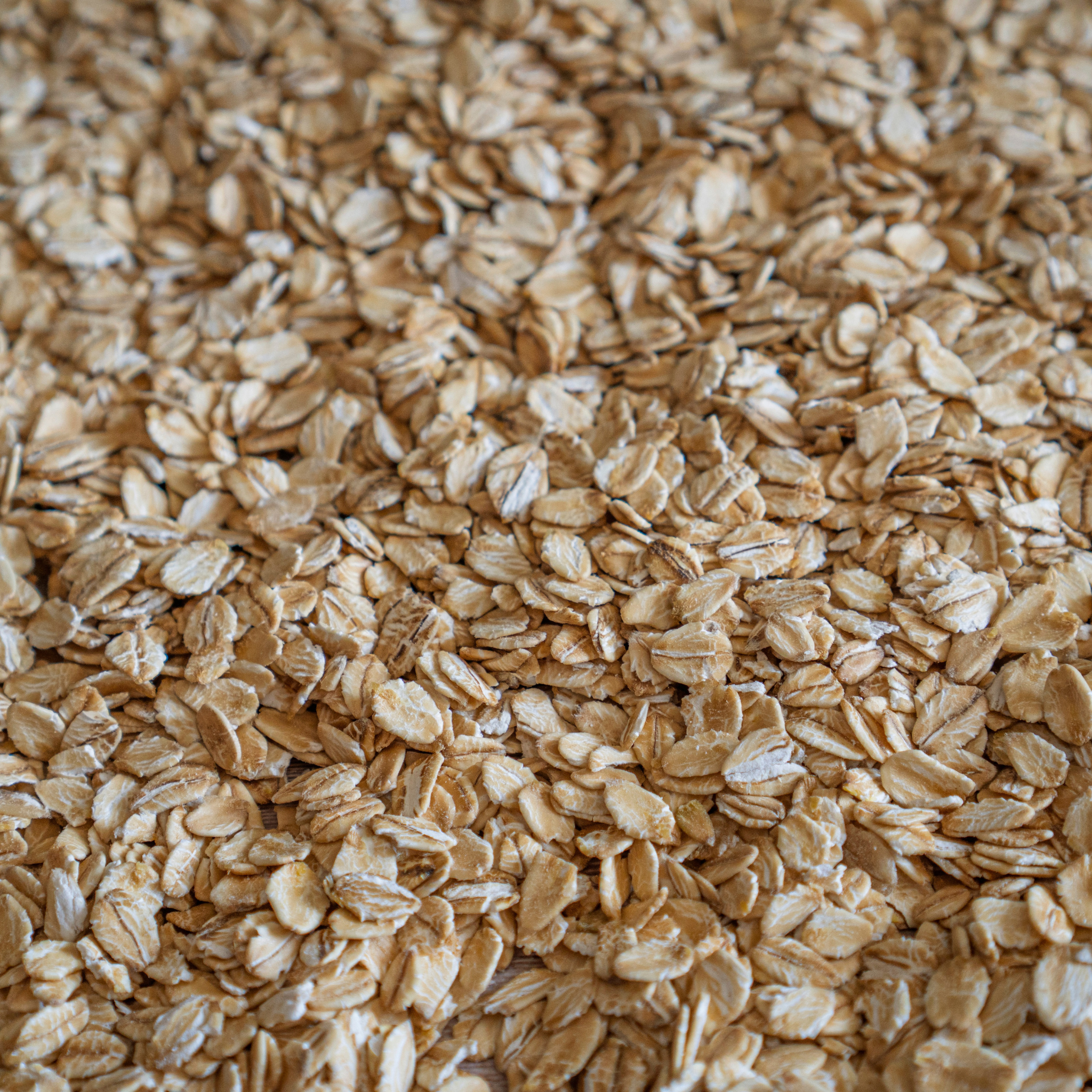 colloidal oatmeal
