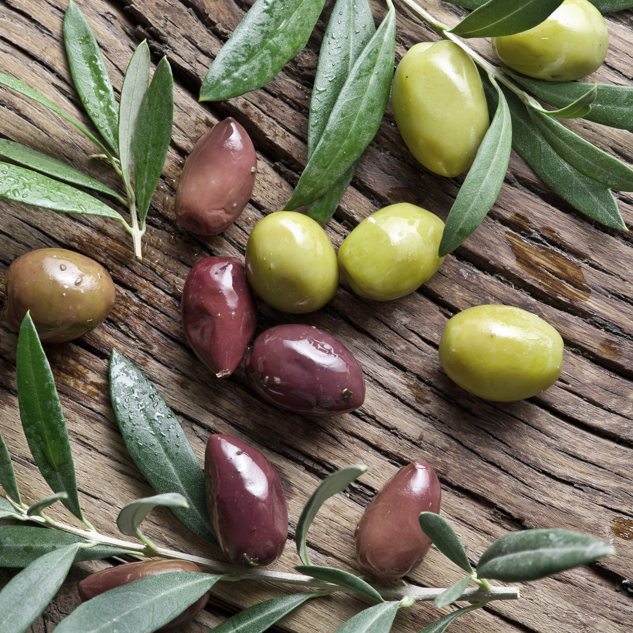 olive oil