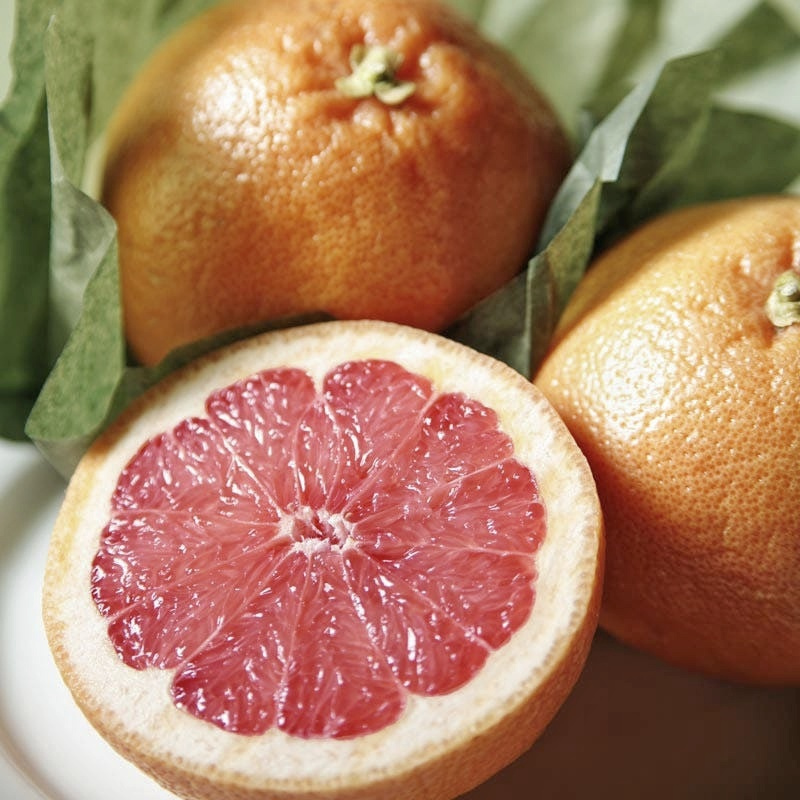 grapefruit