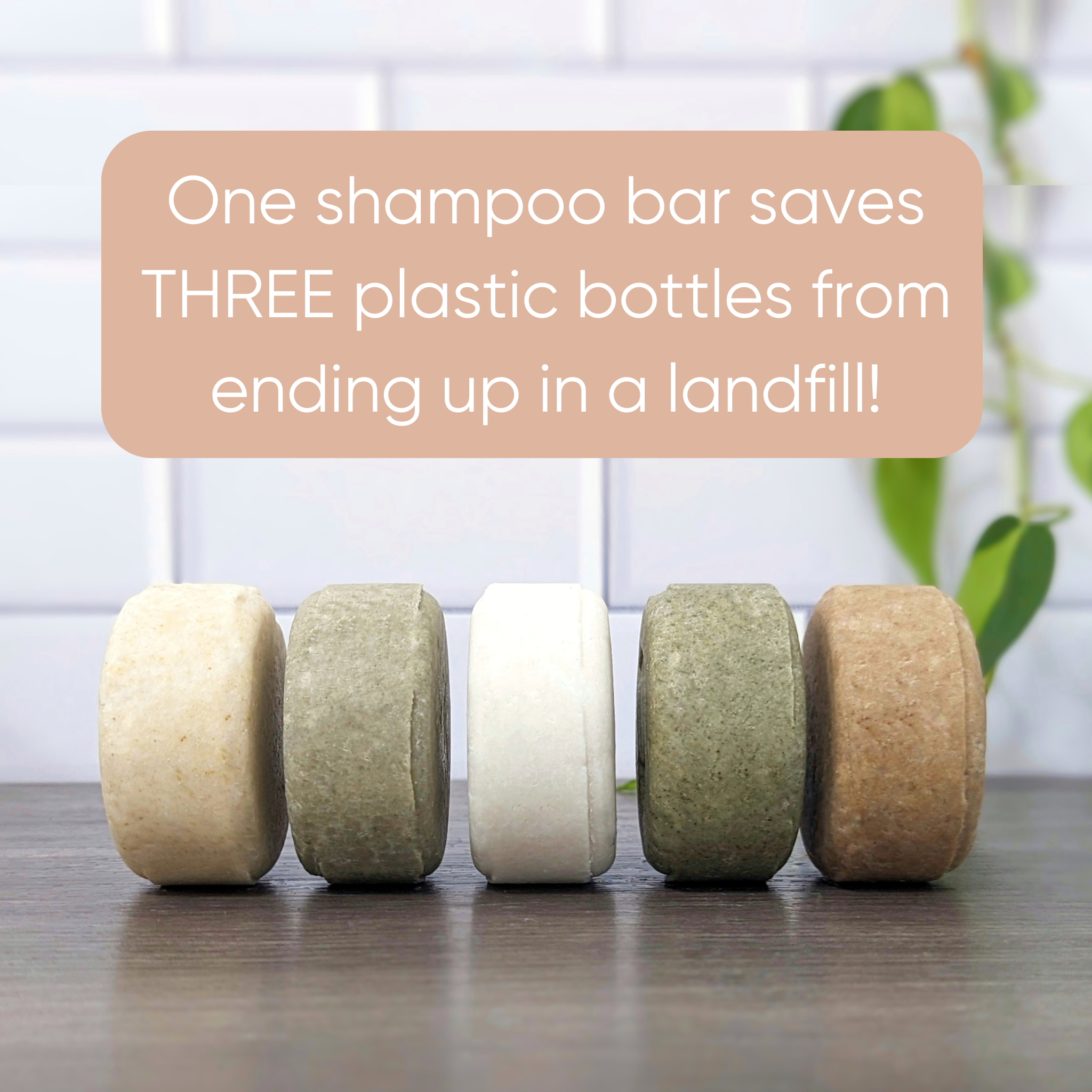 Kaolin & Ginger Soothing Solid Shampoo