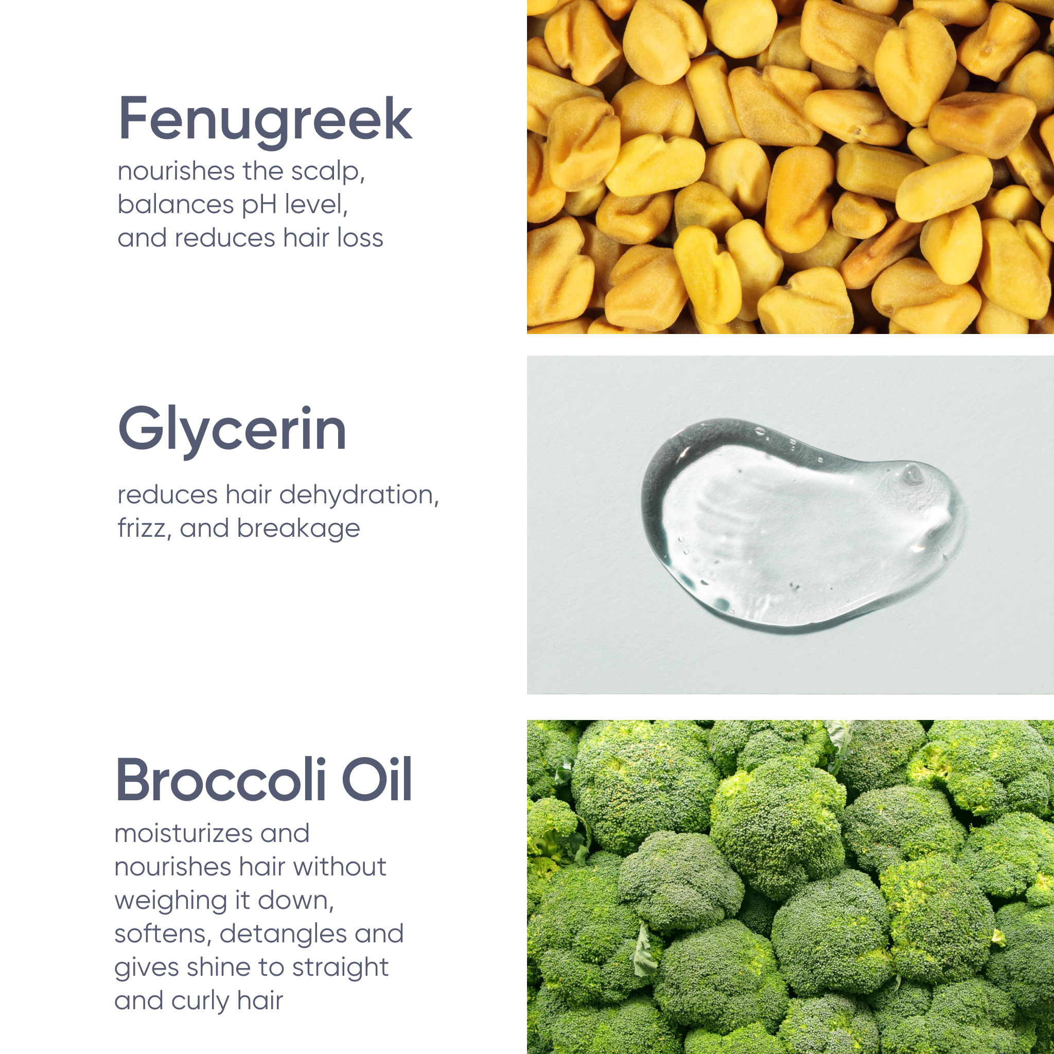 Plain & Simple Hydrating Solid Shampoo